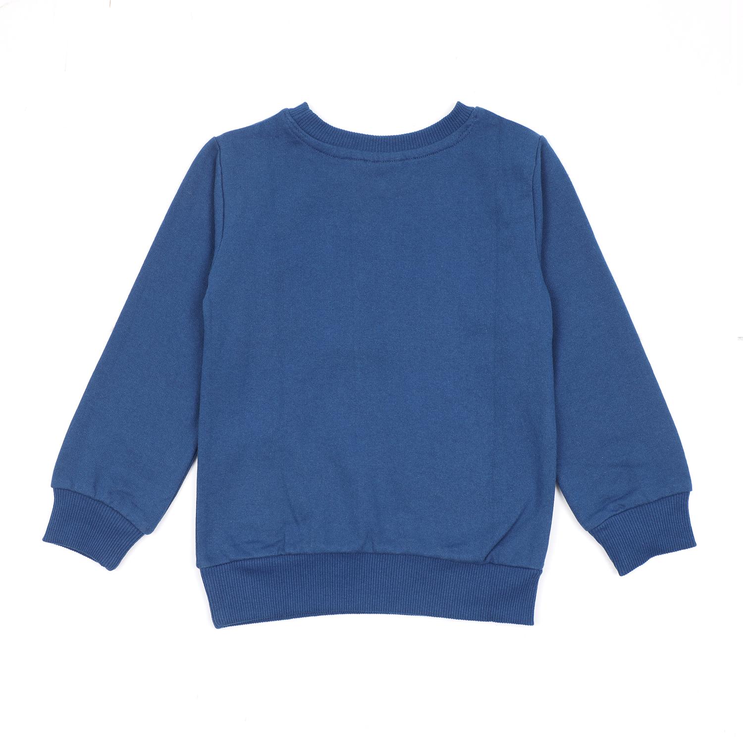Boys/Girls fleece SweatShirt- Blue